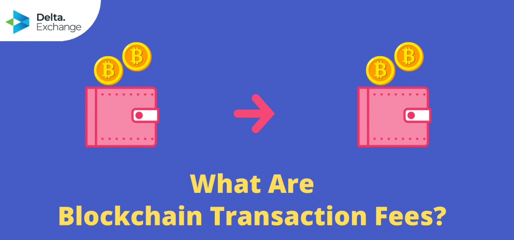 What Are Blockchain Transaction Fees?